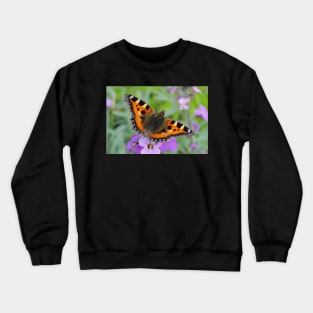 Small Tortoiseshell Butterfly Crewneck Sweatshirt